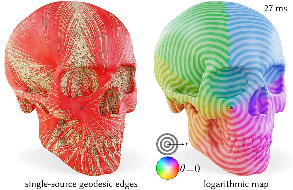 Our FlipOut procedure can be used to efficiently introduce a geodesic edge path from a single source to all other vertices (left). Reading off distance to each vertex and the direction of the edges emanating from the source yields a discretization of the logarithmic map (right). The cyclic color palette encodes the angular component of the logarithmic map, while stripes denote isocontours of its magnitude.